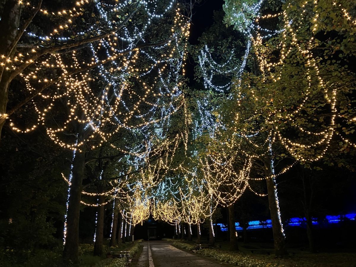 鳥取県南部町『とっとり花回廊』のイルミネーションの様子