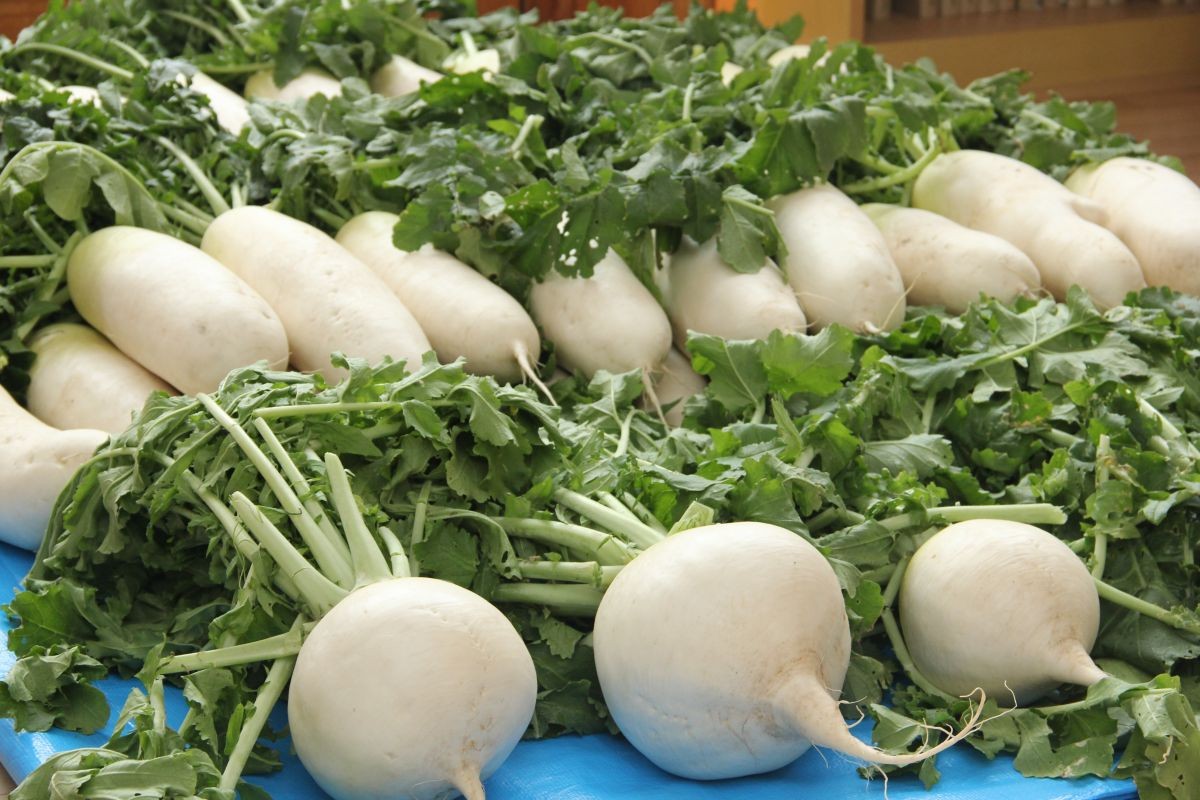 島根県大田市で開催されている「地域食堂どがなか屋」で販売されていた野菜