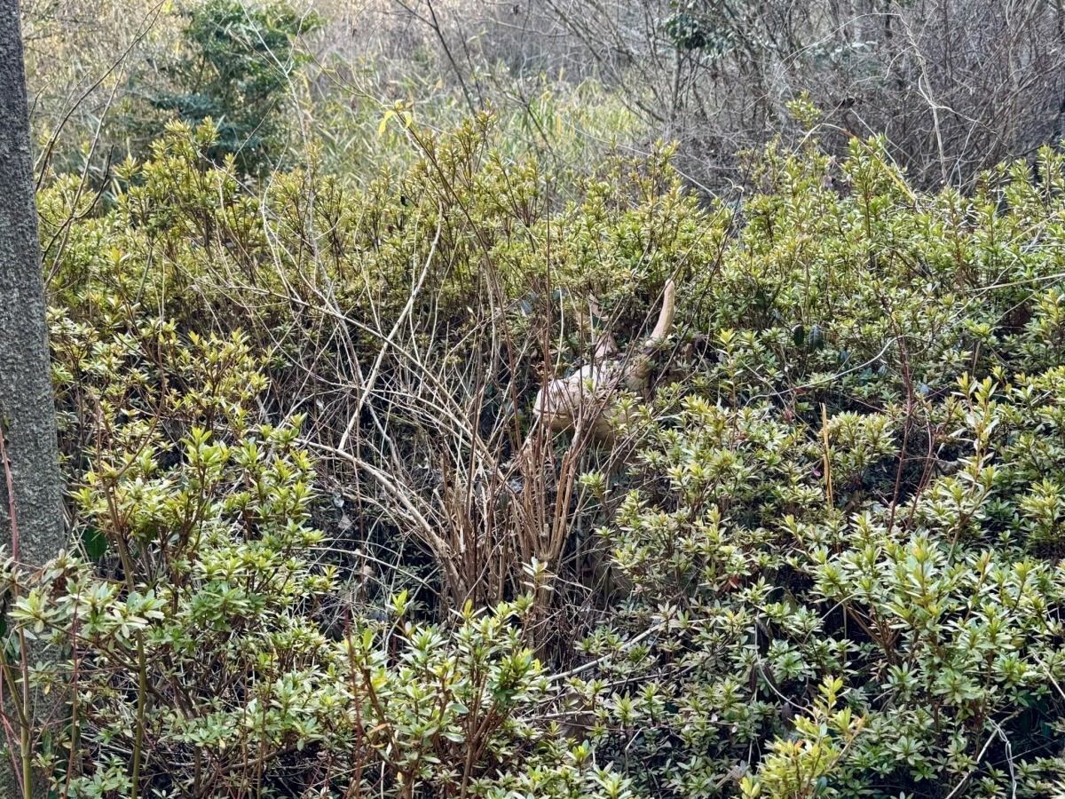 松江市「はにわロード」にいた「はにわ」