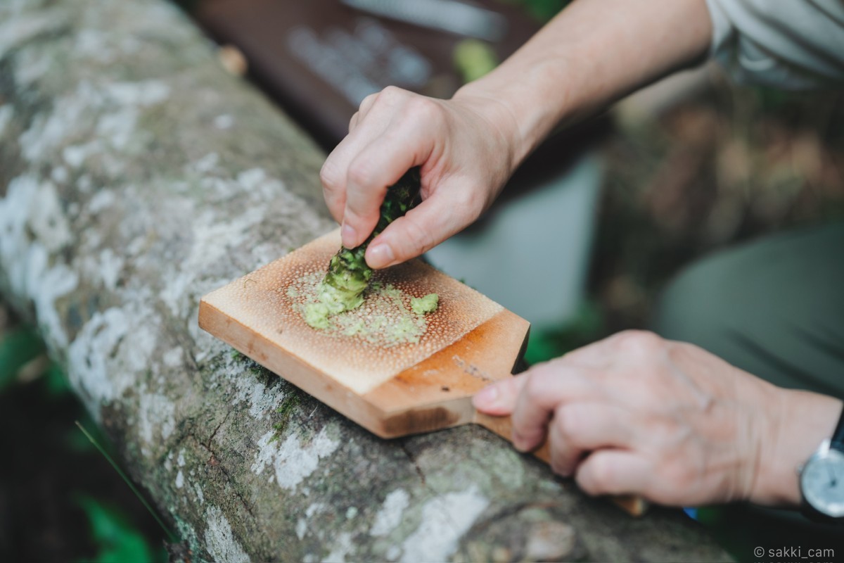 わさびをすりおろしているところ