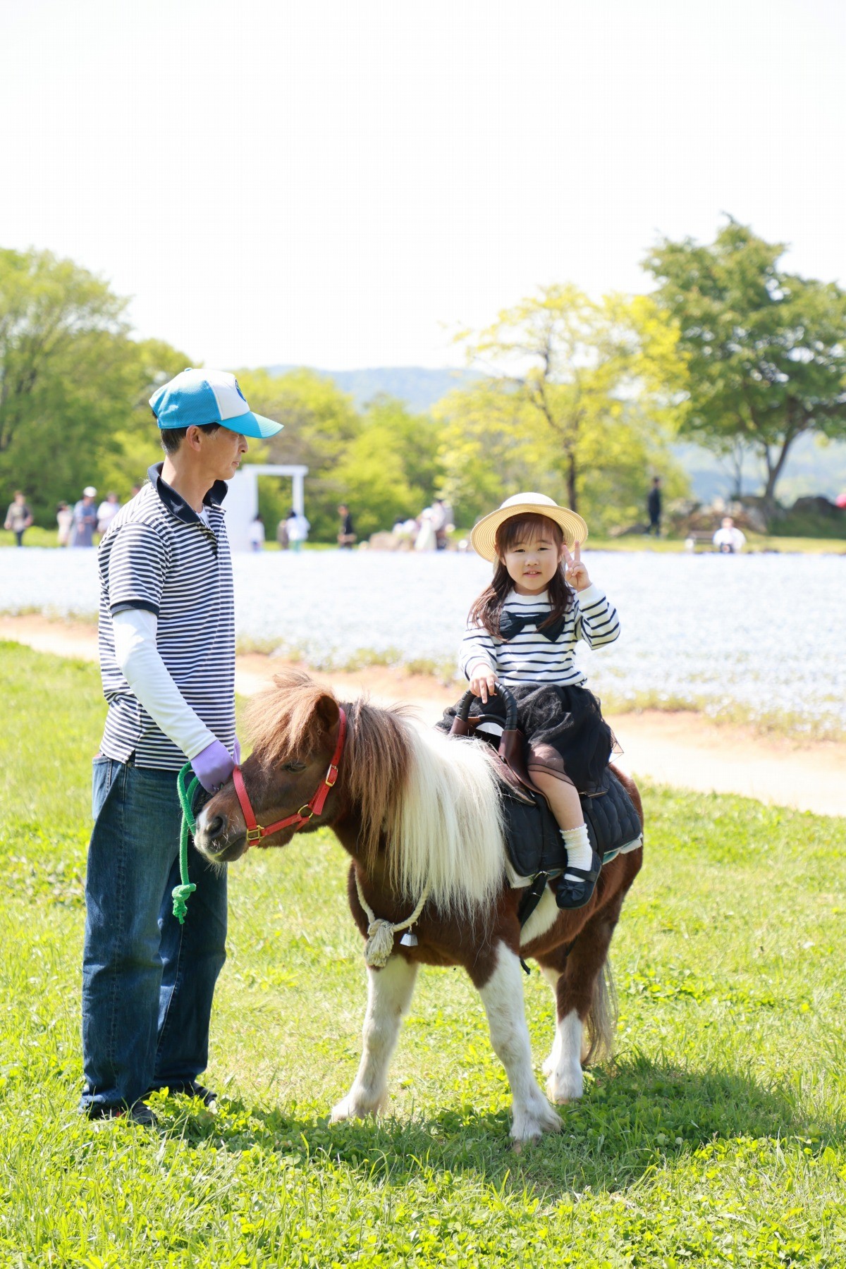乗馬体験のイメージ