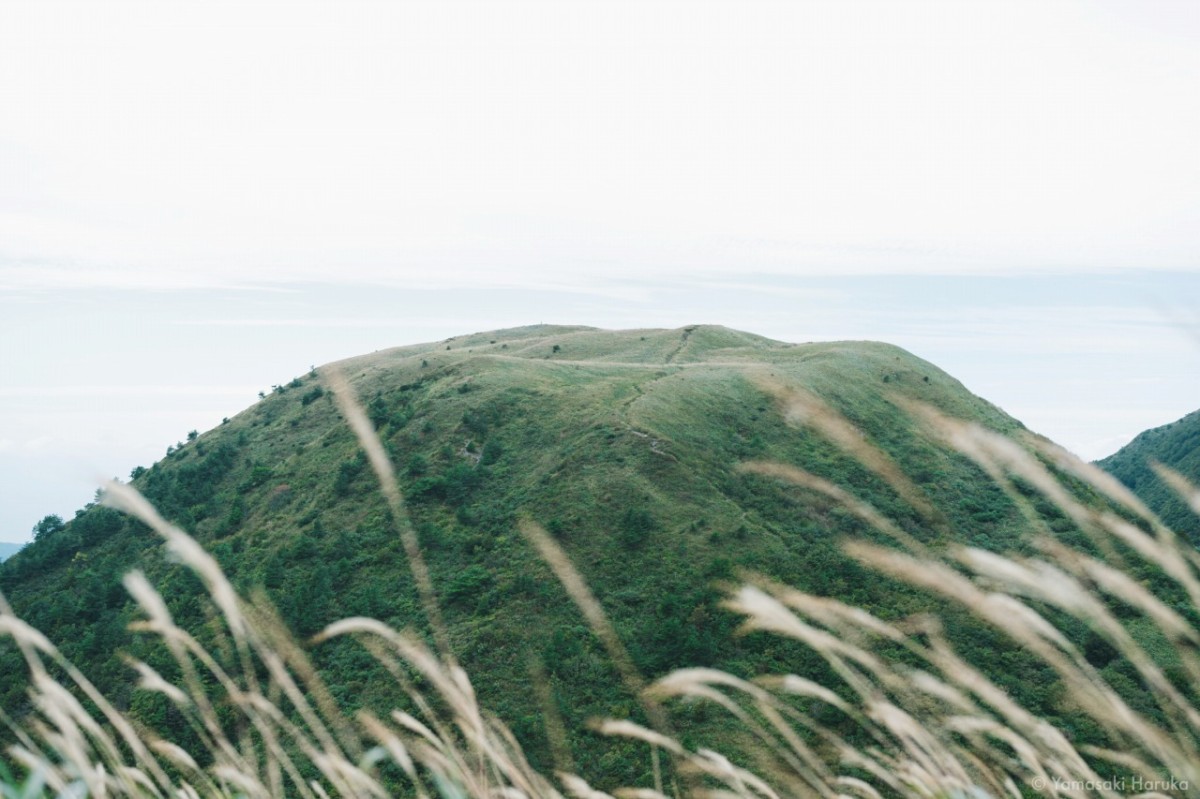 大田市・三瓶山で楽しむ体験ツアー「三瓶山・早朝リフトトレック～空飛ぶ至福ランチ～」の眺望イメージ