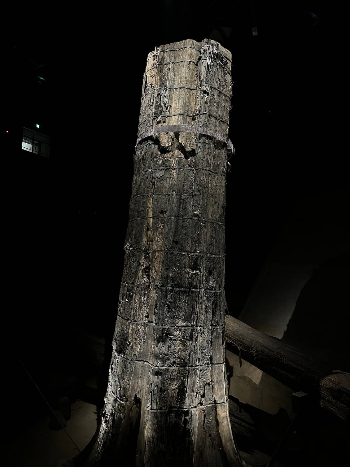 島根県大田市の観光施設「さんべ縄文の森ミュージアム」の埋没林