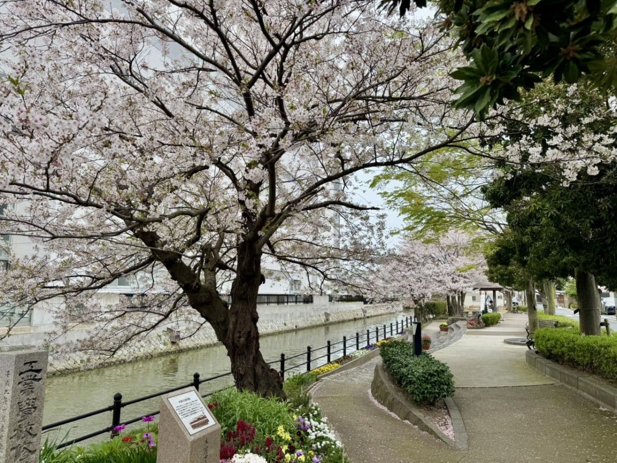 松江市米子町の公園『城東都市緑地』の園内