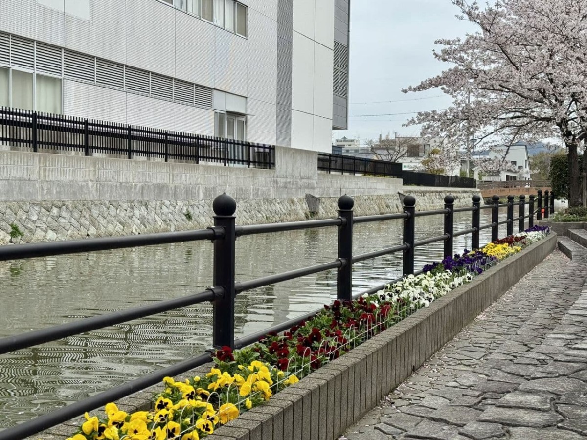 松江市米子町の公園『城東都市緑地』の川辺のスペース