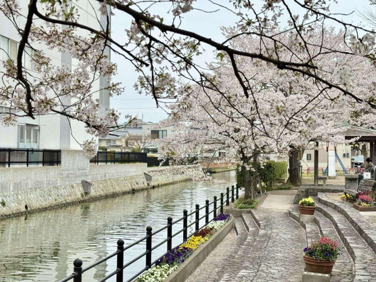 松江市米子町の公園『城東都市緑地』の園内