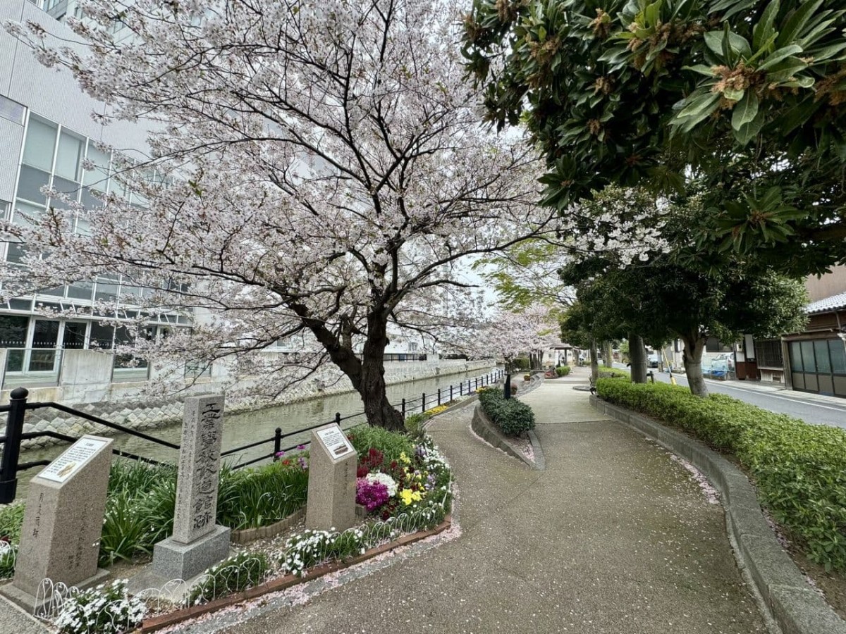 松江市米子町の公園『城東都市緑地』の園内