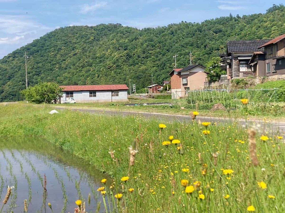 鳥取県中部のどこかの地区