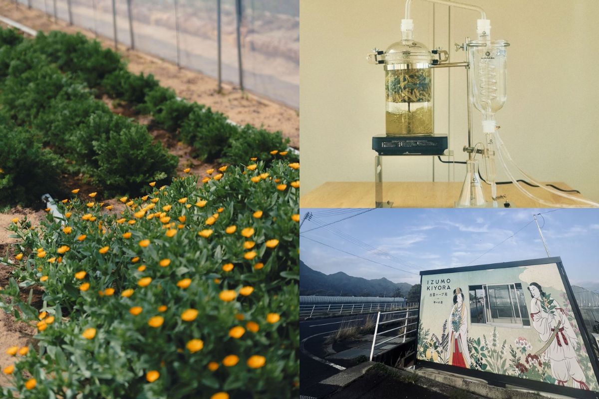 出雲市にある体験施設『出雲ハーブ苑 神々の庭』のイメージカット