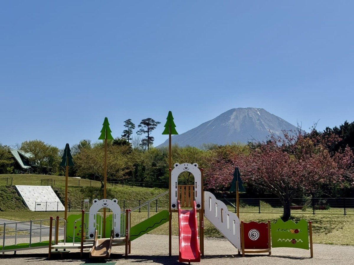 鳥取県伯耆町の遊び場『伯耆町総合スポーツ公園』のリニューアルしたインクルーシブ遊具