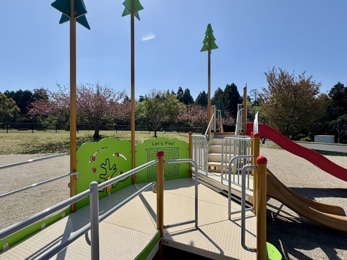 鳥取県伯耆町の遊び場『伯耆町総合スポーツ公園』のインクルーシブ遊具