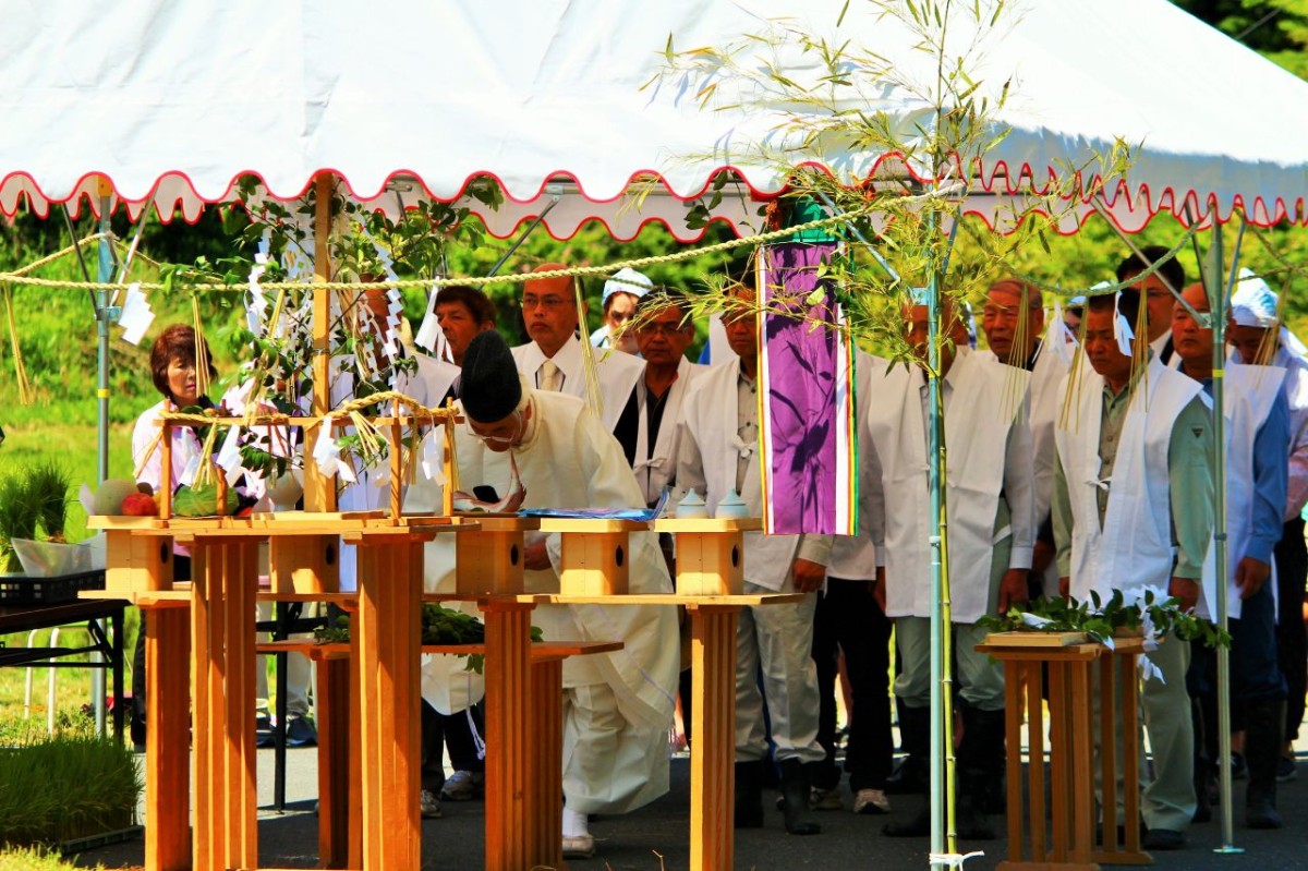 御田植神事の様子