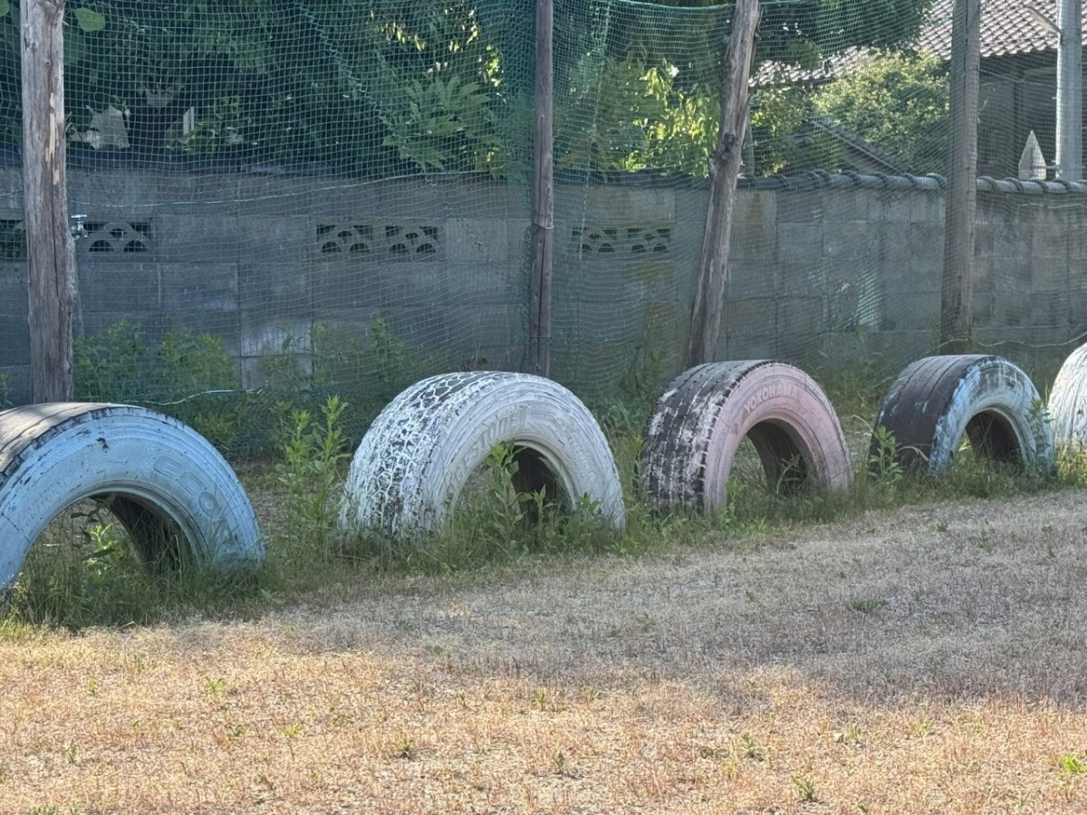 米子市岡成で見つけた公園にあるタイやとび