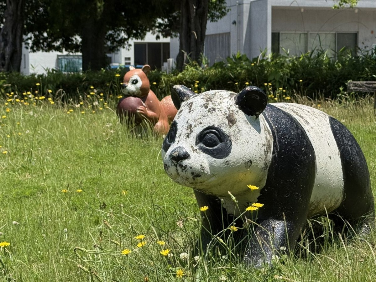 島根県雲南市にある『加茂中央公園』のパンダとリス