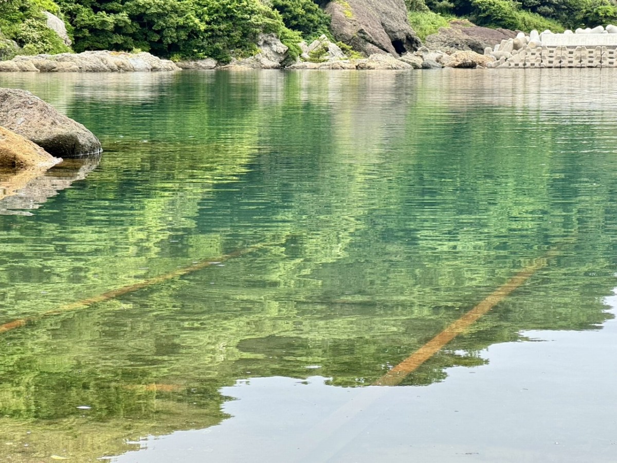 島根県松江市美保関町の諸喰港のレール