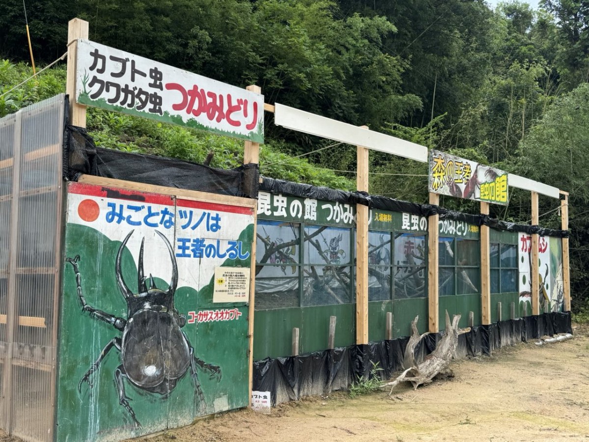 つかみ取り小屋
