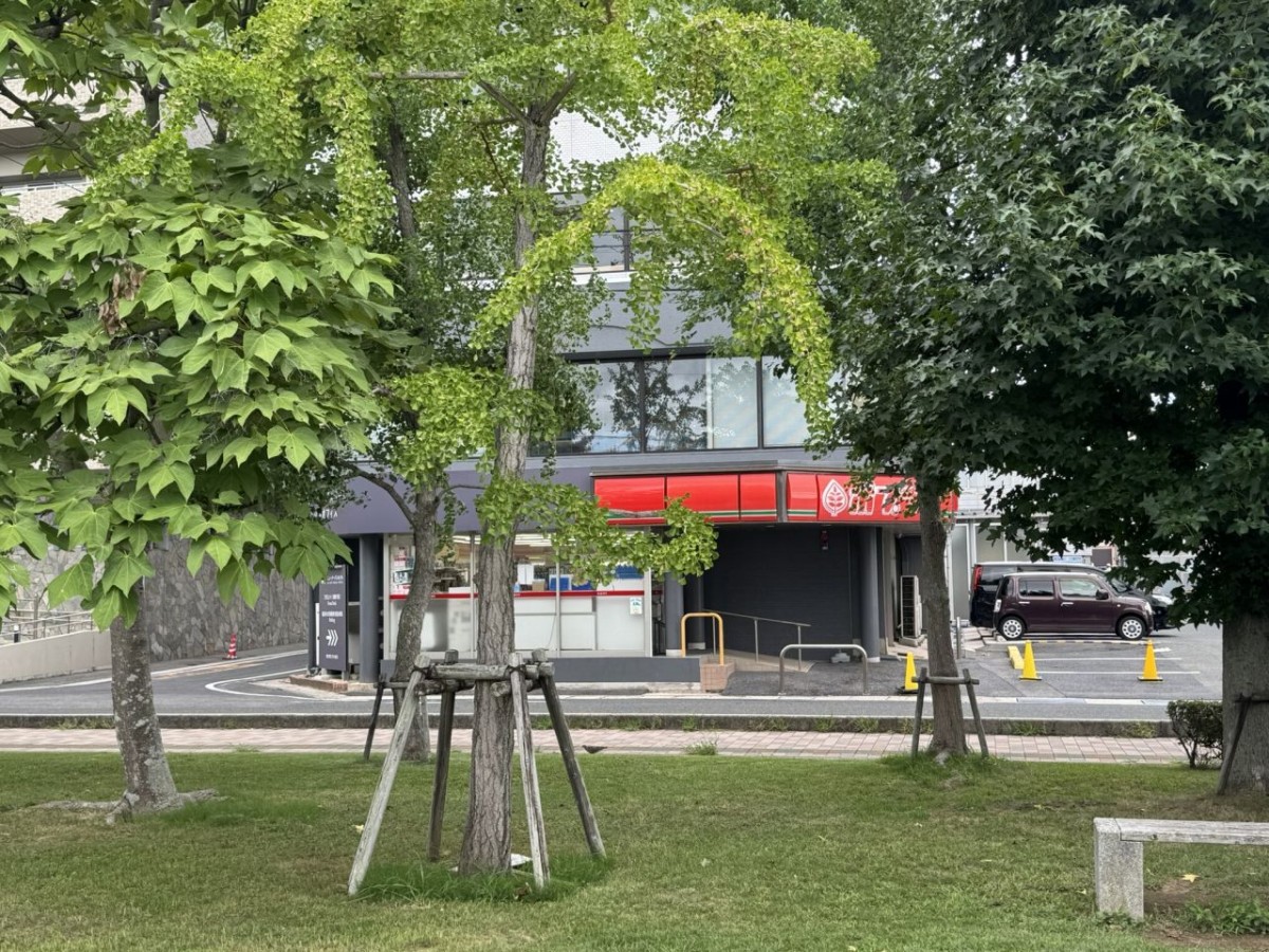 松江市末次町の「末次公園」近くにあるポプラ