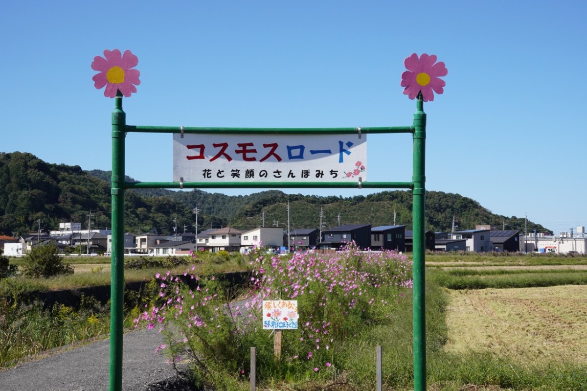 鳥取県岩美町の秋のフラワースポット『コスモスロード』の入口