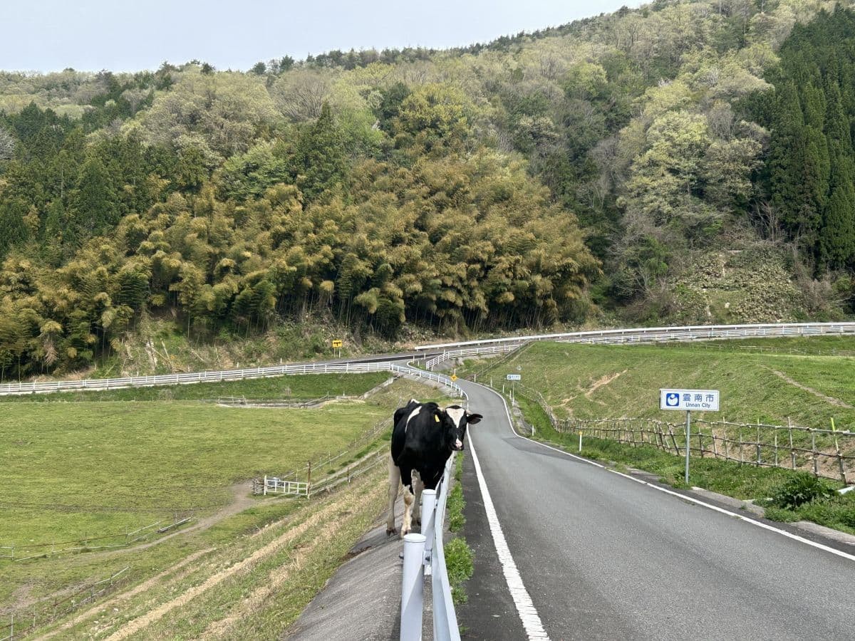 奥出雲町の「ダムの見える牧場」の風景