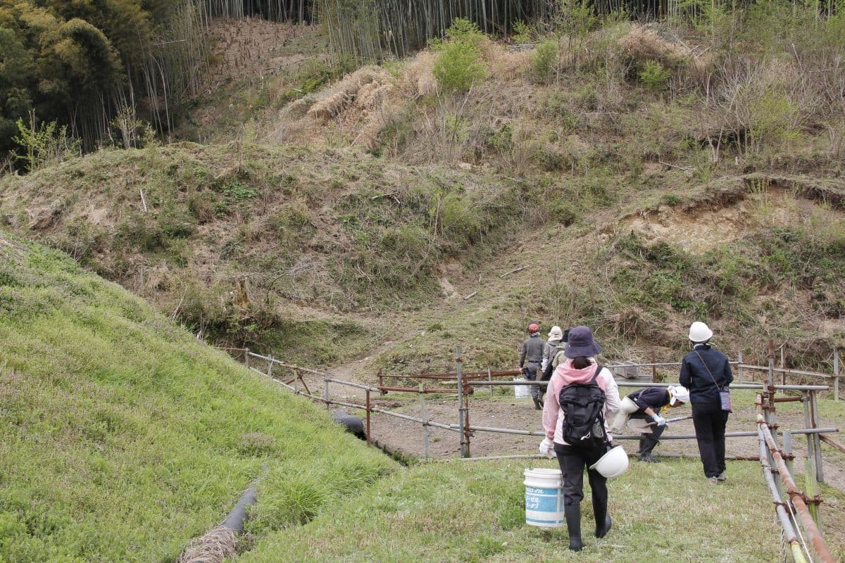 奥出雲町で開催されている体験プログラム「出雲の山墾」の活動中の様子