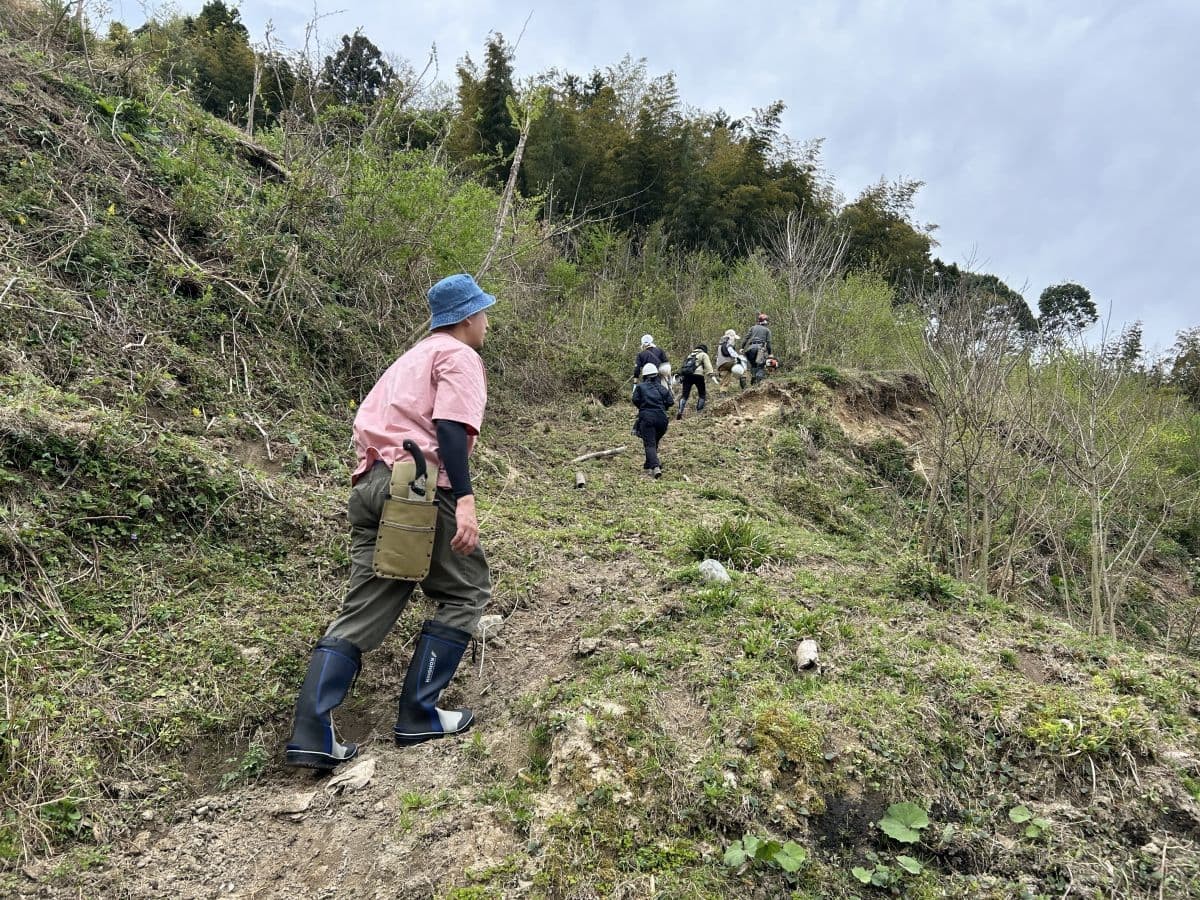 奥出雲町で開催されている体験プログラム「出雲の山墾」の活動中の様子