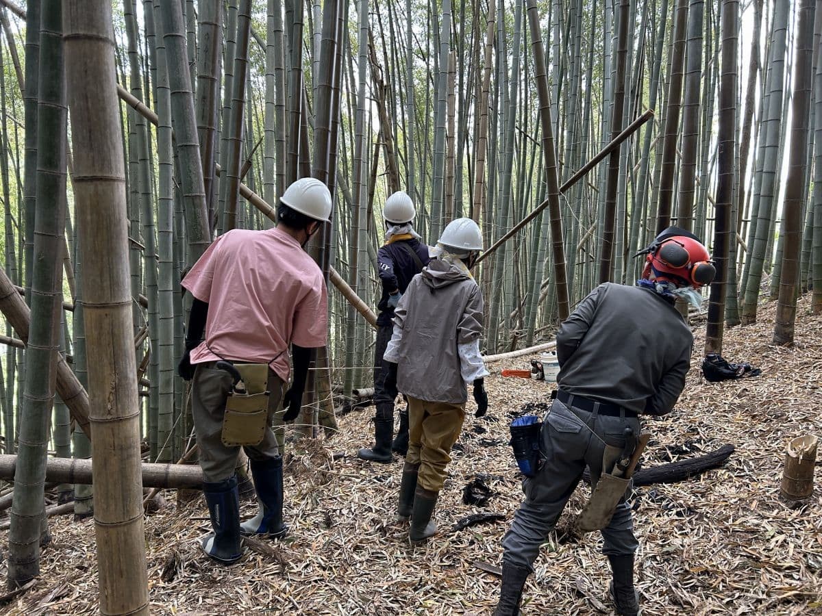奥出雲町で開催されている体験プログラム「出雲の山墾」の活動中の様子