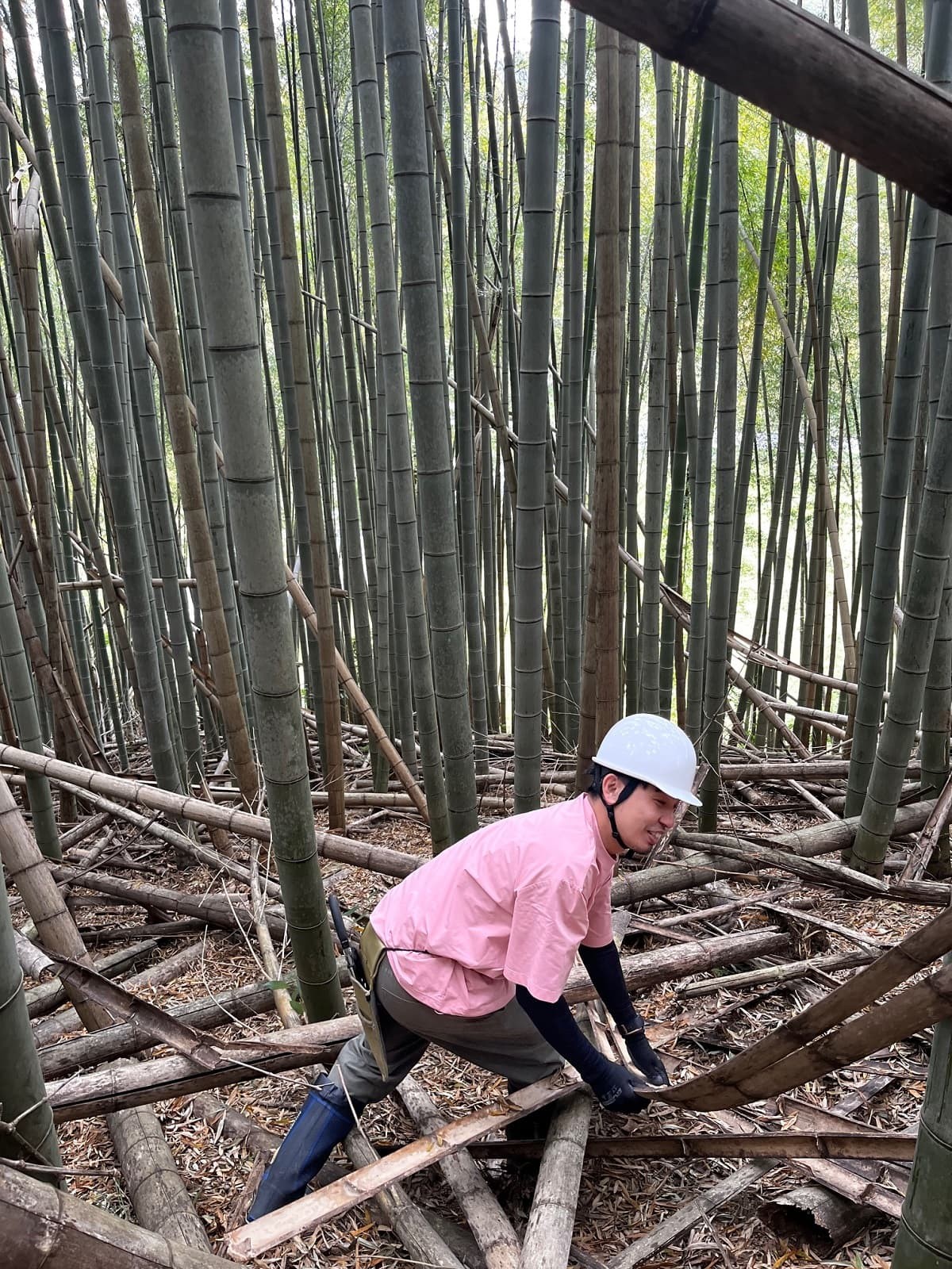 奥出雲町で開催されている体験プログラム「出雲の山墾」の活動中の様子