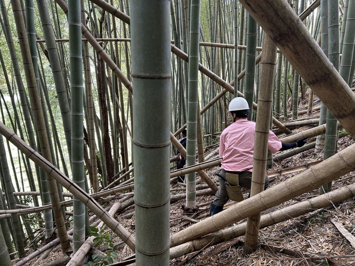 奥出雲町で開催されている体験プログラム「出雲の山墾」の活動中の様子