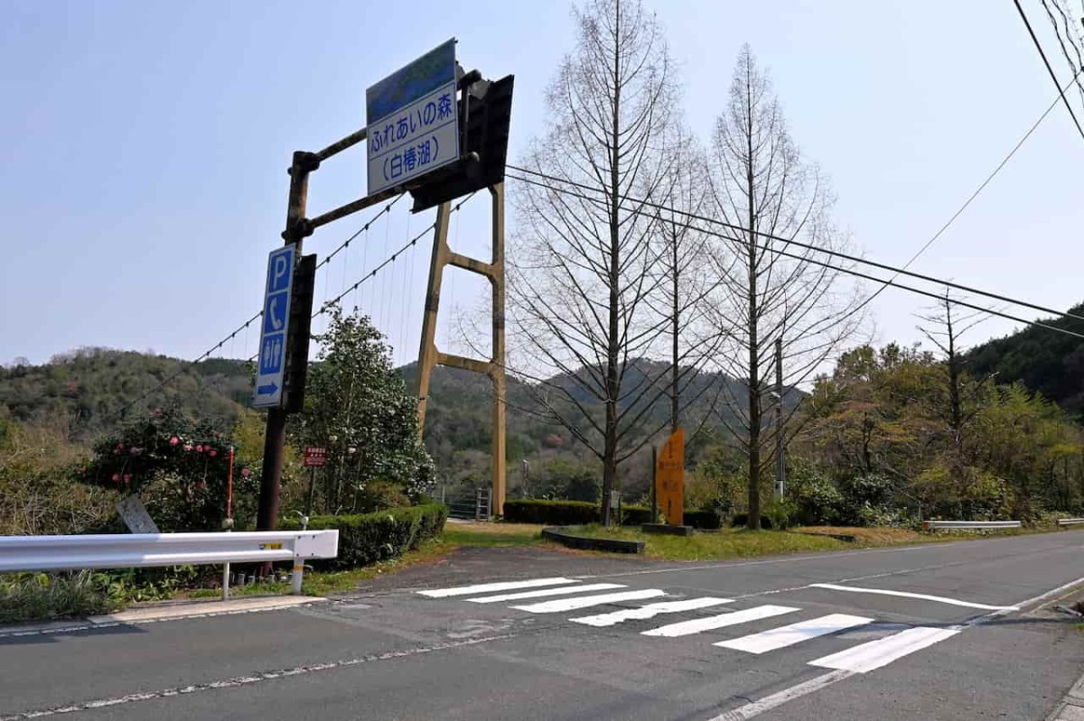 島根県安来市にある『野だたらと椿の里』の吊り橋