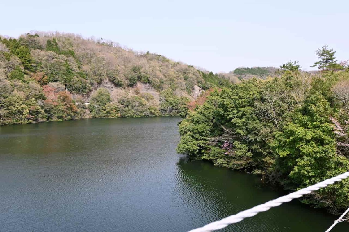 島根県安来市にある『野だたらと椿の里』の吊り橋からの眺め