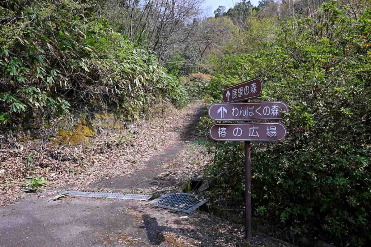 島根県安来市にある『野だたらと椿の里』の遊歩道の様子