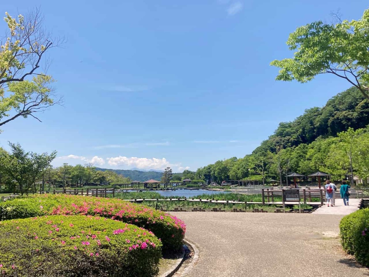 鳥取県東伯郡湯梨浜町にある『あやめ池公園』の様子