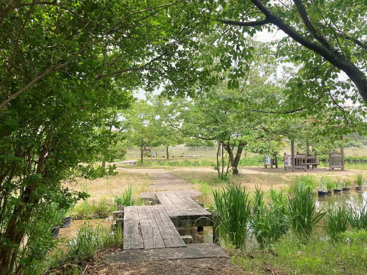 島根県出雲市にある『浜游自然観察広場』の様子