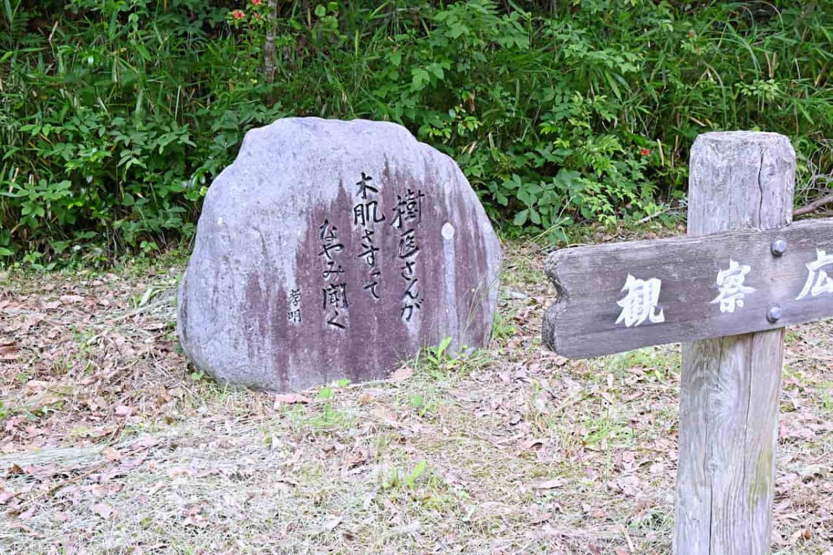 鳥取県八頭郡八頭町にある『郡家オアシス公園』の景色