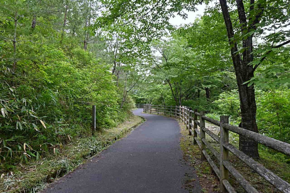 鳥取県八頭郡八頭町にある『郡家オアシス公園』の様子