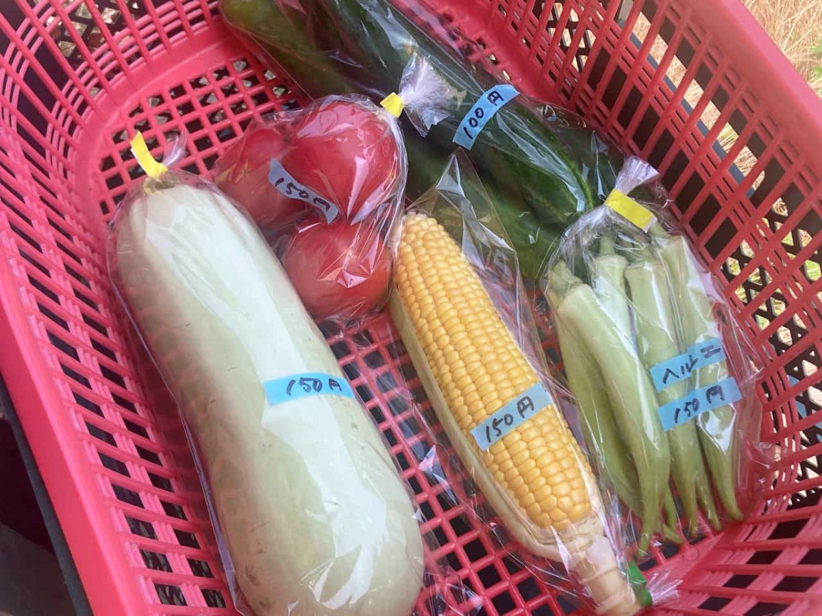 米子市和田町にある『角農園』の野菜販売所で購入した野菜