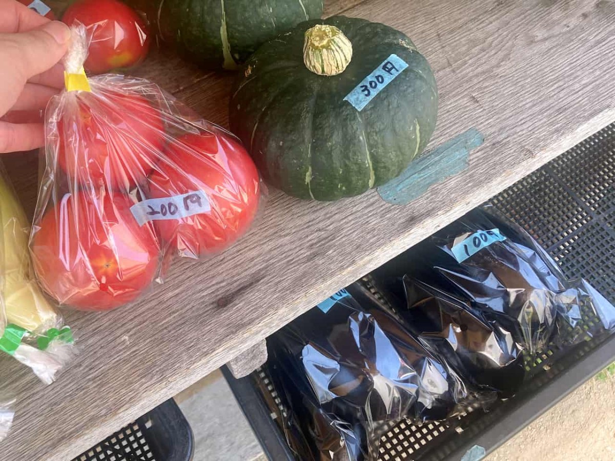 米子市和田町にある『角農園』で販売していたトマトなど