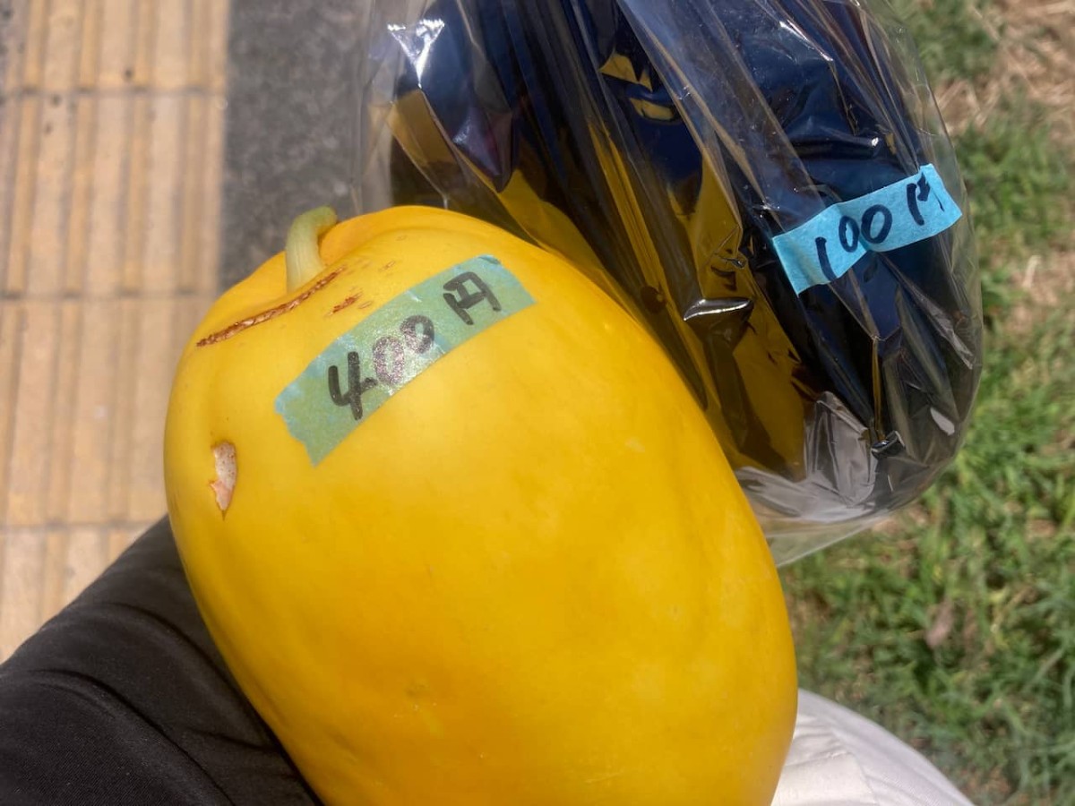 米子市和田町にある『角農園』の野菜販売所で購入した野菜