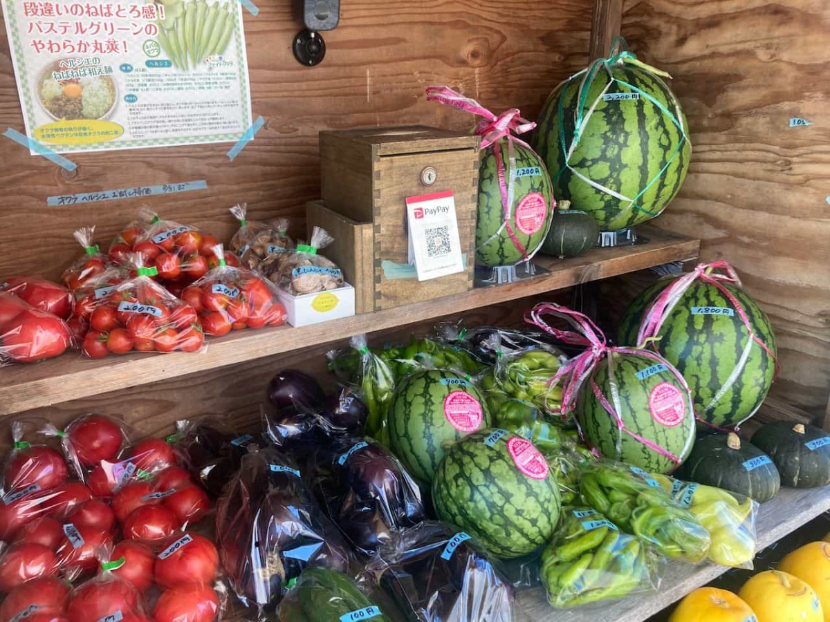 米子市和田町にある『角農園』の野菜販売所