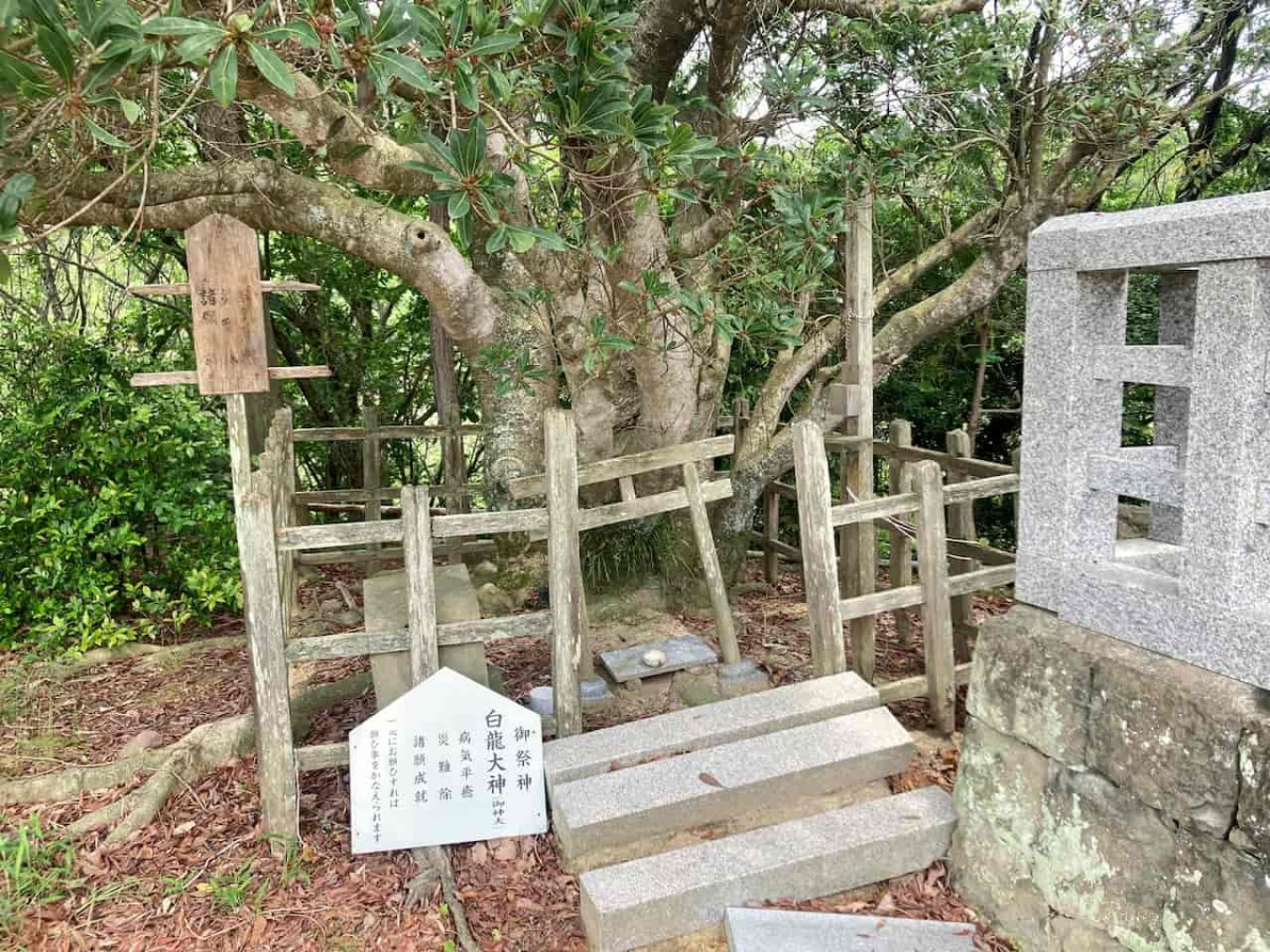 島根県出雲市にある『奉納山公園』内の神社