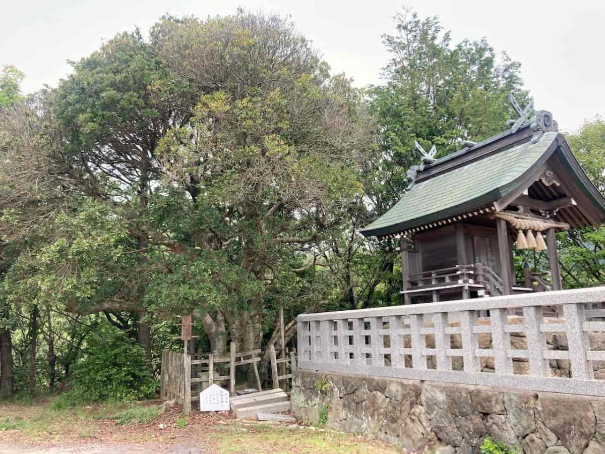 島根県出雲市にある『奉納山公園』内の神社