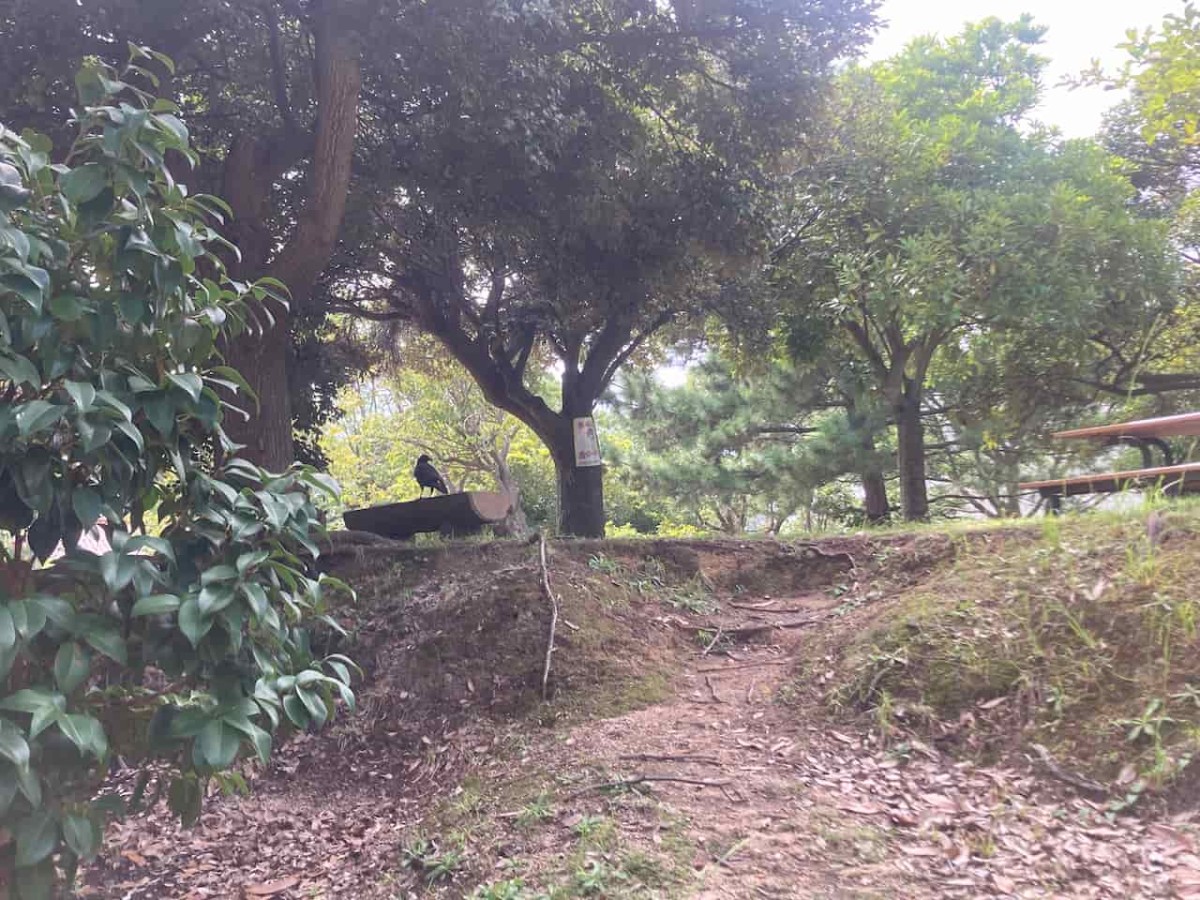 鳥取県境港市にある『境中央公園』の