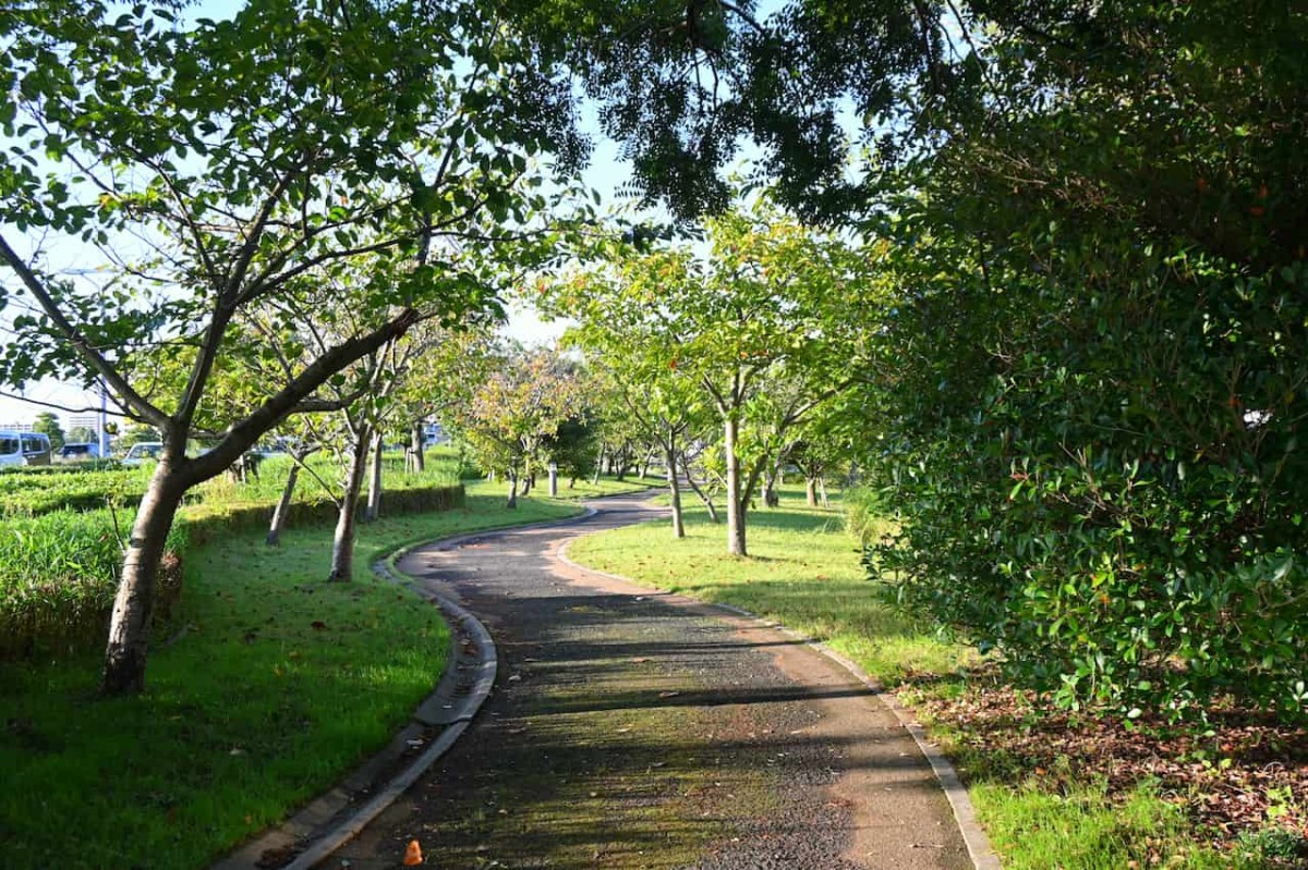 島根県松江市にある『白潟公園』の様子