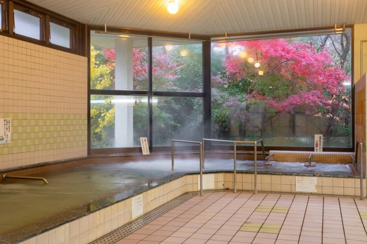 島根県安来市広瀬町にある『湯田山荘』の内湯