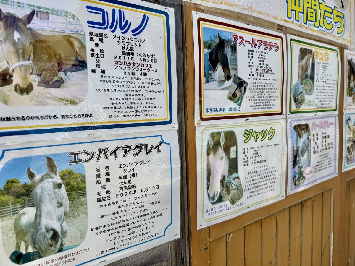 島根県益田市にある『さんさん牧場』の掲示板