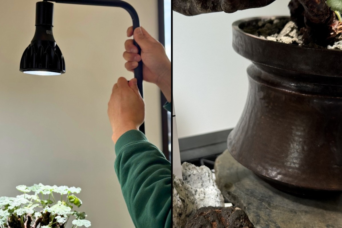 島根県出雲市にあるプラントショップ『Collect Base.str（コレクトベース）』のライトアップ、鉢