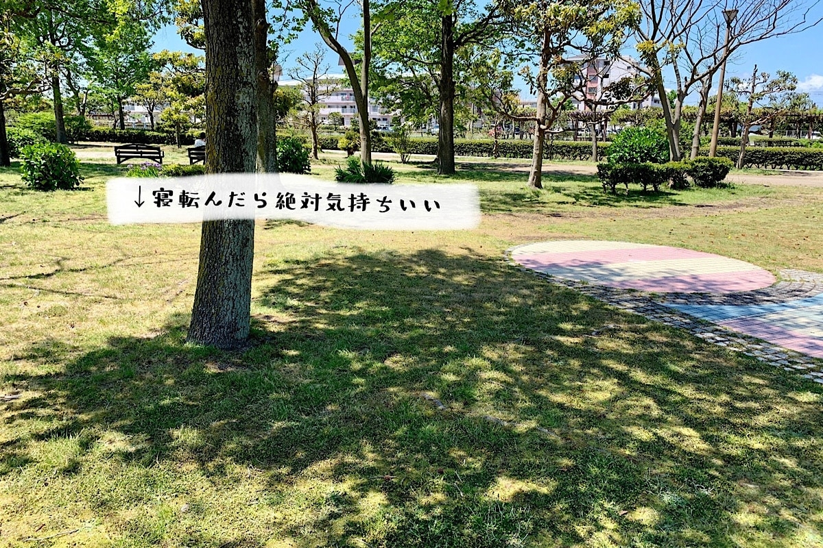 鳥取県米子市_弓ヶ浜公園_おすすめ_子連れ_遊び場_人気_ピクニック