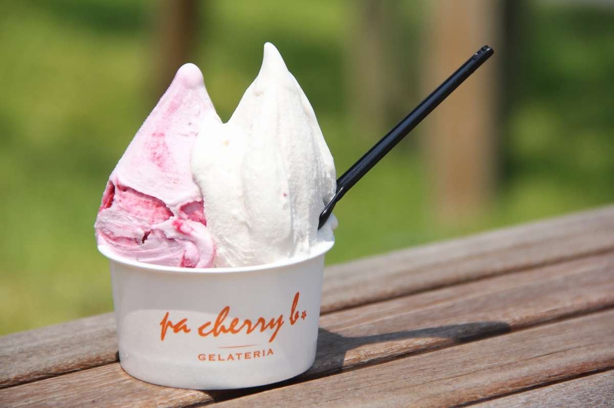 西伯郡南部町にある『ジェラテリア pa cherry b.』のジェラート