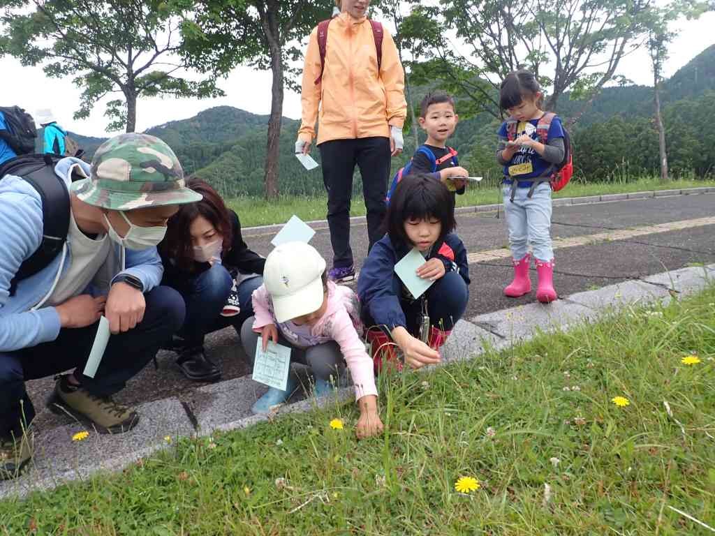 鳥取県八頭郡若桜町のイベント「【要予約】森のようちえん＋　親子で自然を楽しもう！」のイメージ