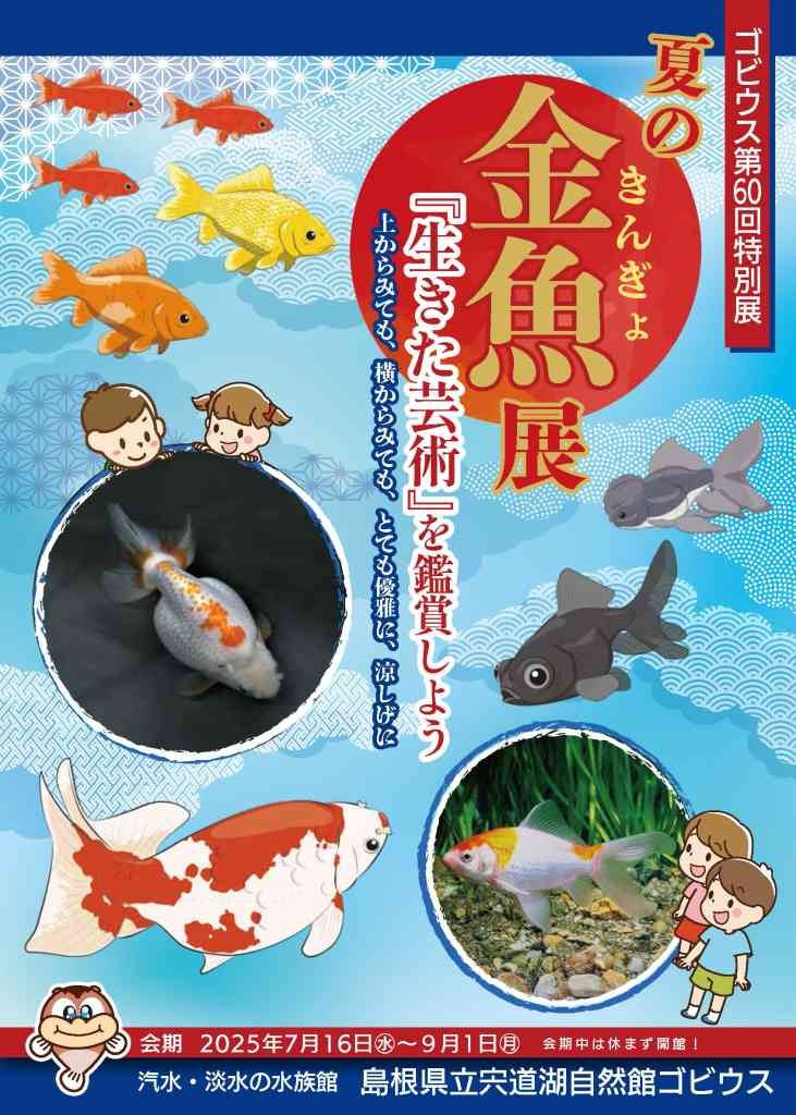 島根県出雲市のイベント「夏の金魚展『生きた芸術』を鑑賞しよう」のチラシ
